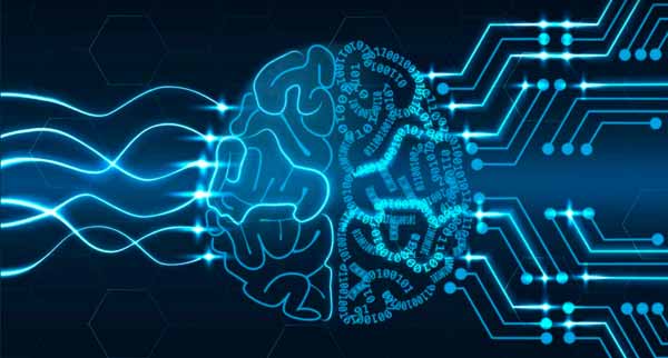 Las redes neuronales artificiales intentan simular el funcionamiento del cerebro.