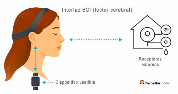 Esquema de la interfaz BCI