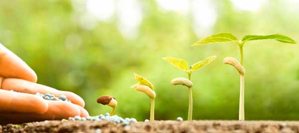 Construir y fortalecer un ecosistema emprendedor