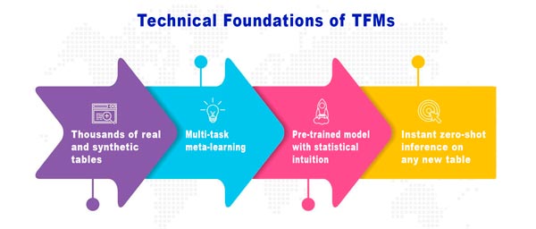Technical Foundations of TFMs